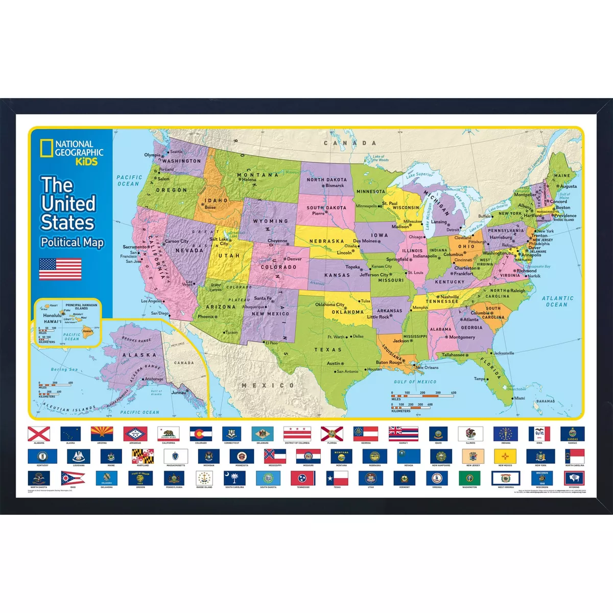 National Geographic Educational Art - USA Map with Flags