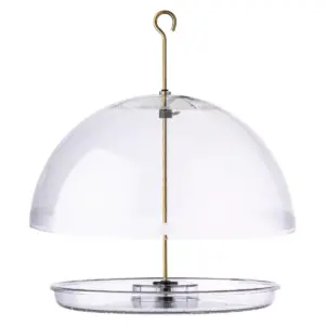 Droll Yankees Dorothy's Cardinal Domed Bird Feeder - Clear