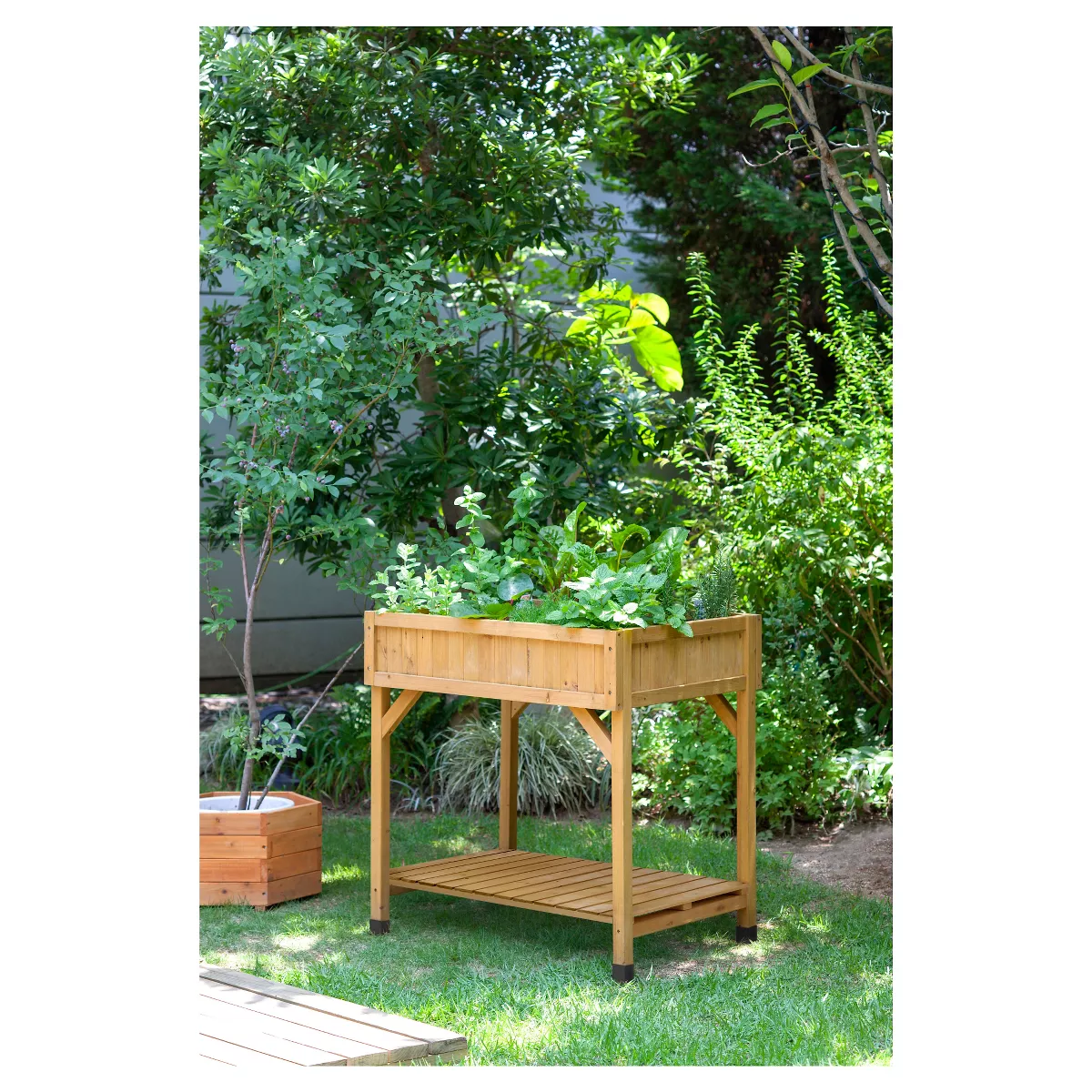 Herb Planter Square (Divider) FSC 100% - Brown - VegTrug