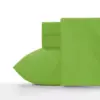Crayola Spring Green Sheet Sets (Twin)