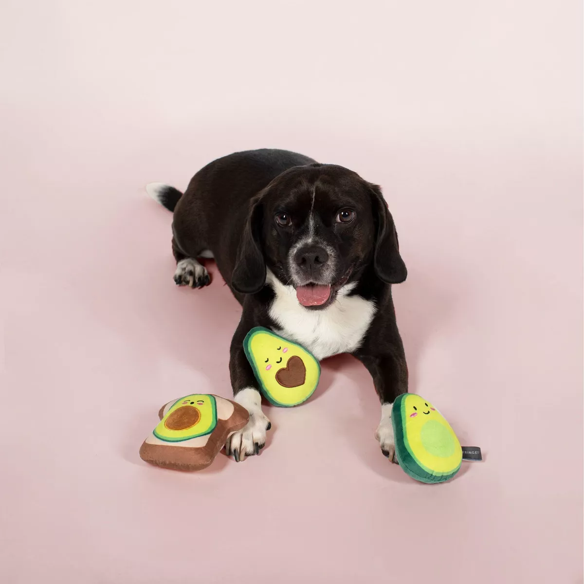 PetShop by Fringe Studio Avocado Set Dog Toys - 3pk
