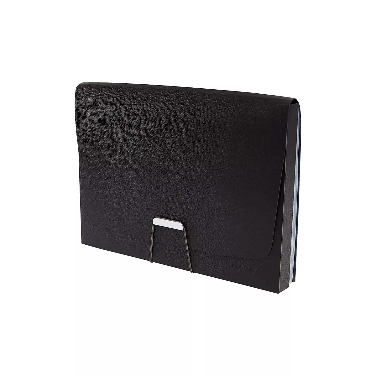 Staples Expanding File with 1