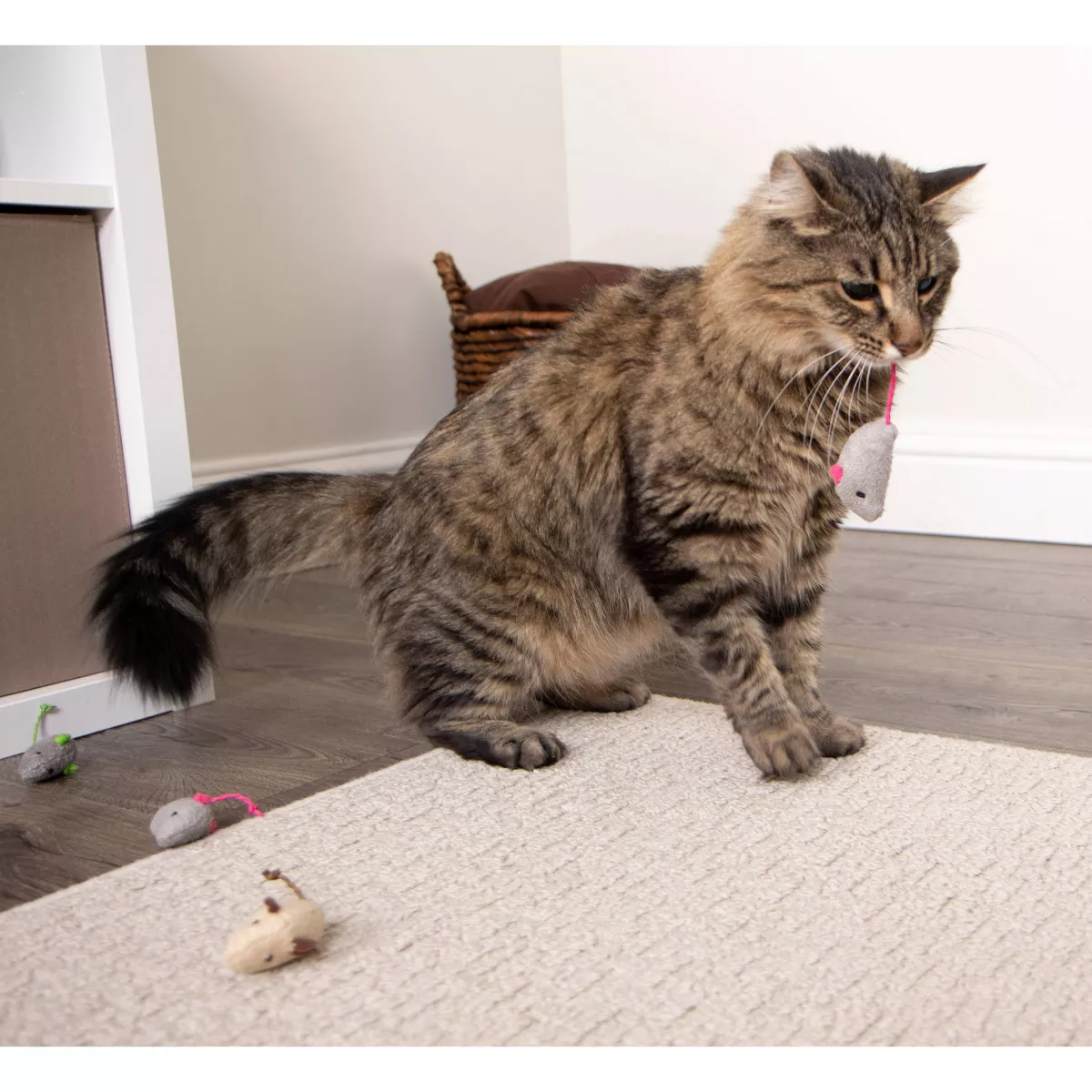 SmartyKat Skitter Critters Cat Toy - 10pk