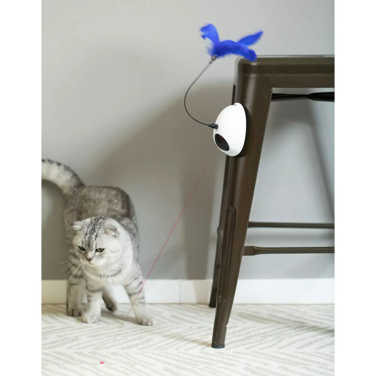 PawsMark Interactive 2-in-1 Spring Feather and Red Light Chaser Cat Toy