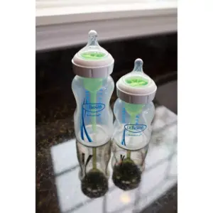 Dr. Brown's Baby Bottles Clear - 1ct