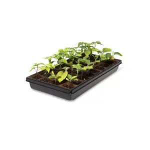 2” Square Biodegradable Pots and Tray Set - Gardener's Supply Company