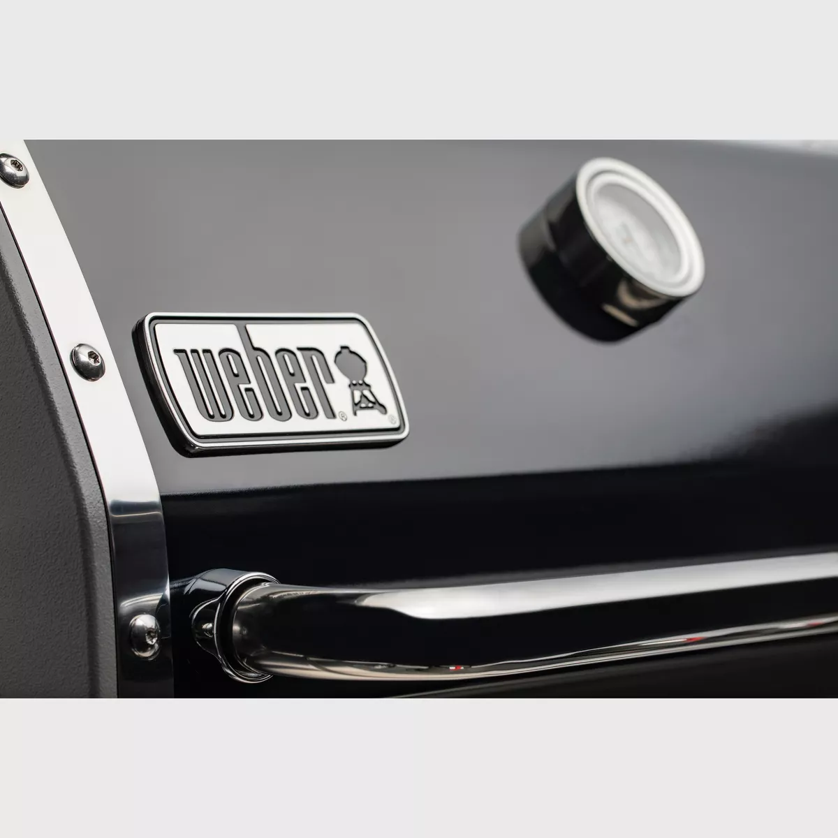 Weber Genesis II E-310 NG 66011001 Black