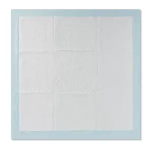 Puppy & Adult Dog Training Pads - 40ct - XXL - up & up™