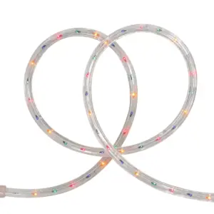 Northlight 18' Indoor/Outdoor Rope Lights - Multi-Color