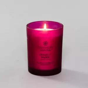 8.8oz Glass Jar Candle Dream + Inspire - Mind & Body by Chesapeake Bay Candle
