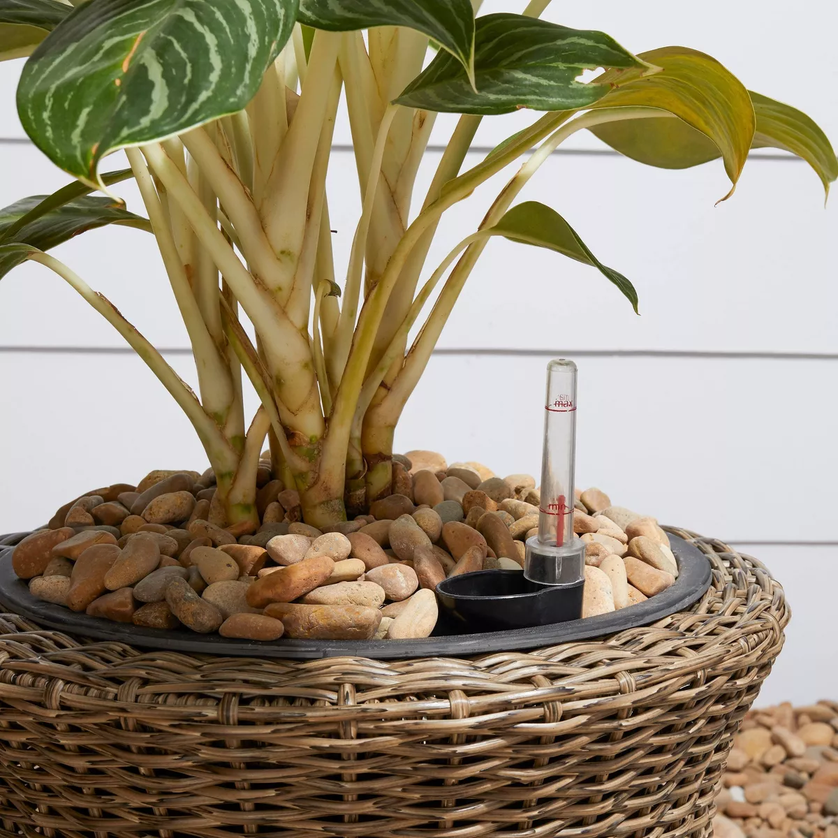 Ocala Curved Oval Self-Watering Planter Mocha - Vifah