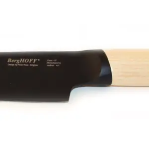BergHOFF Ron 5