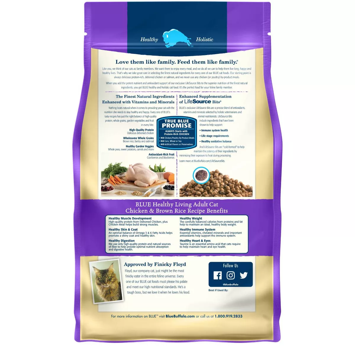 Blue Buffalo Healthy Living Chicken & Brown Rice Recipe Adult Premium Dry Cat Food - 2lbs