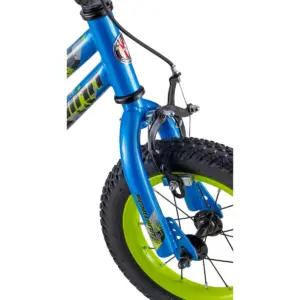 Schwinn Valve 12