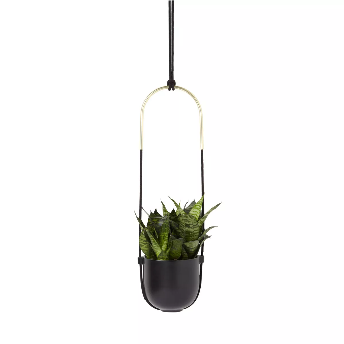 Bolo Planter Black - Umbra