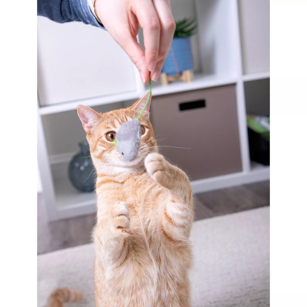 SmartyKat Skitter Critters Cat Toy - 10pk