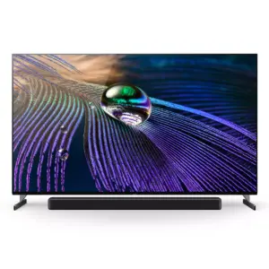 Sony 65