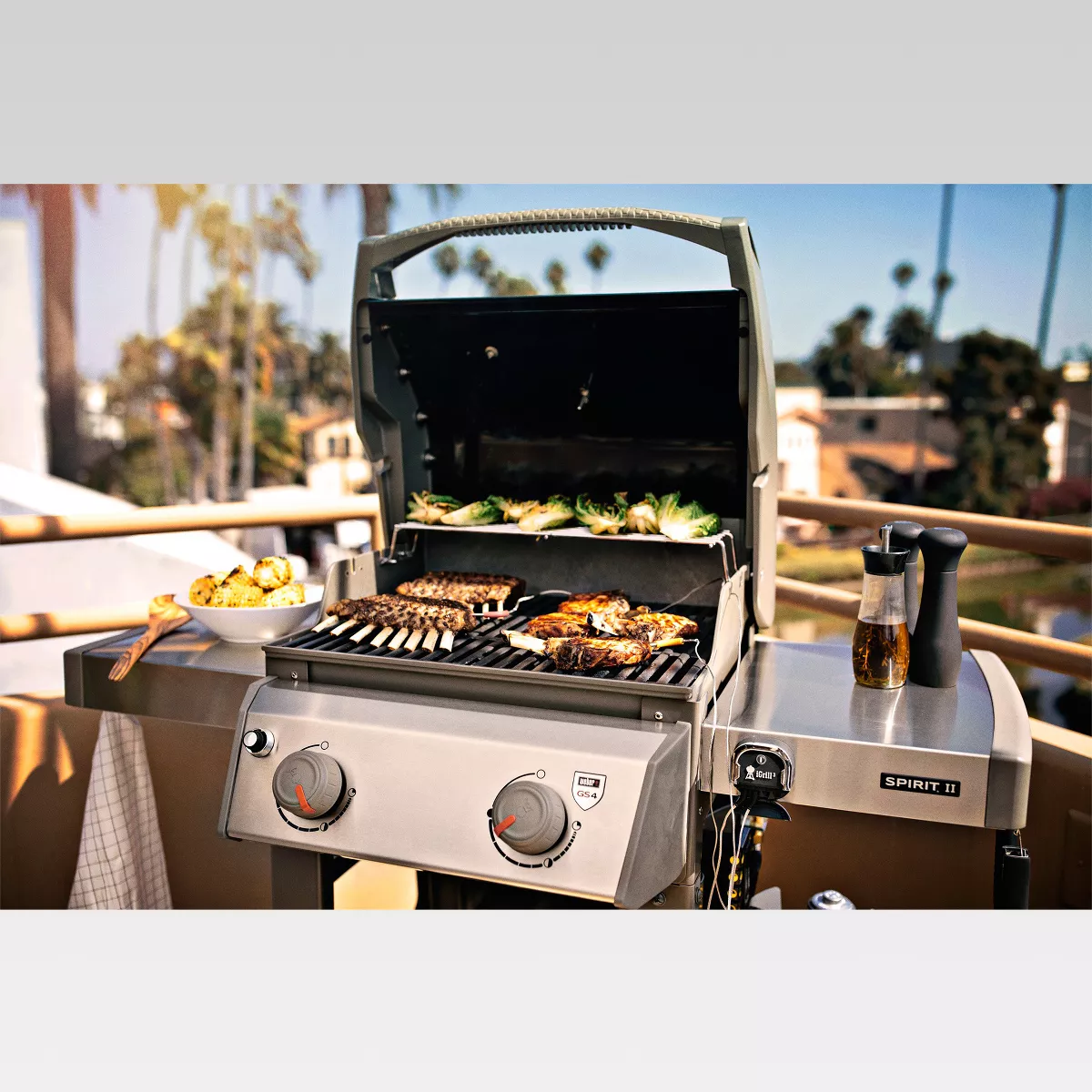 Weber Spirit II E-210 44010001 2-Burner LP Gas Grill Black