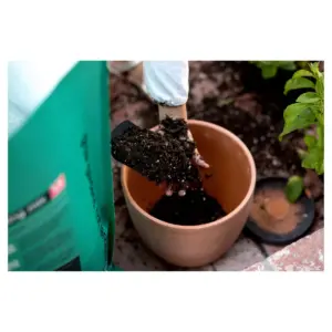 6qt Potting Soil - EcoScraps