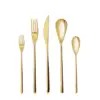 5pc Stainless Steel Dragonfly Silverware Set Gold - Fortessa Tableware Solutions