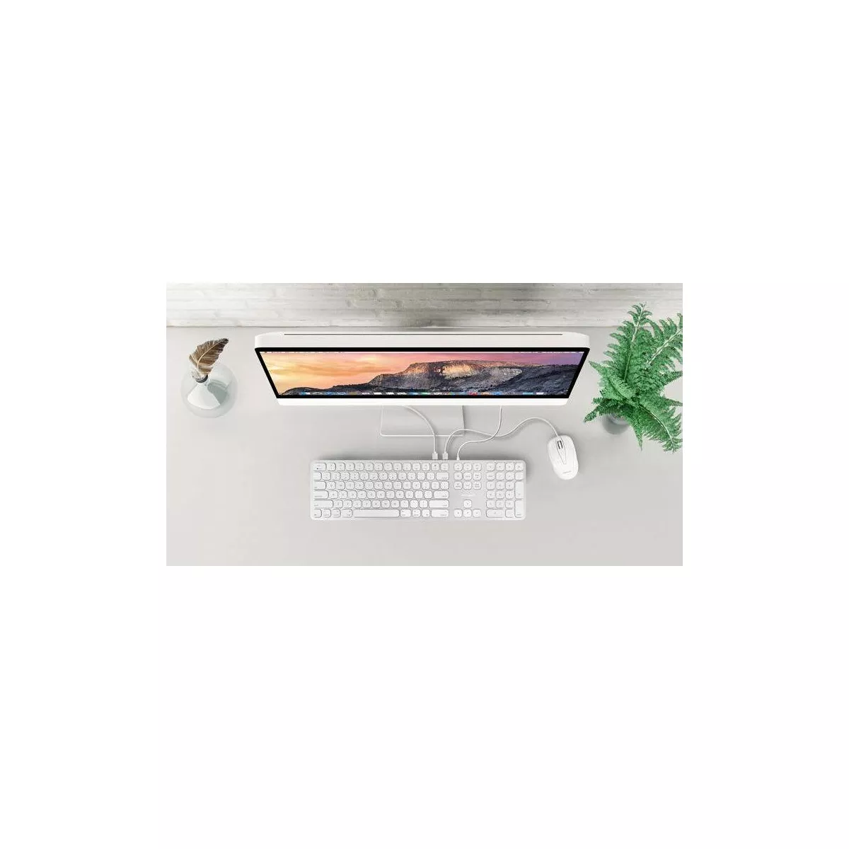 Macally Full Aluminum Wired Keyboard With Number Keypad and 2 Port USB Hub