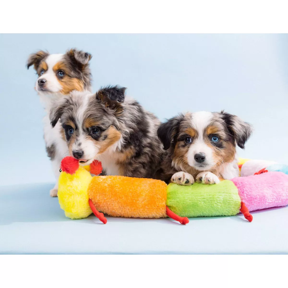 ZippyPaws Caterpillar Deluxe with Blasters Dog Toy - 30
