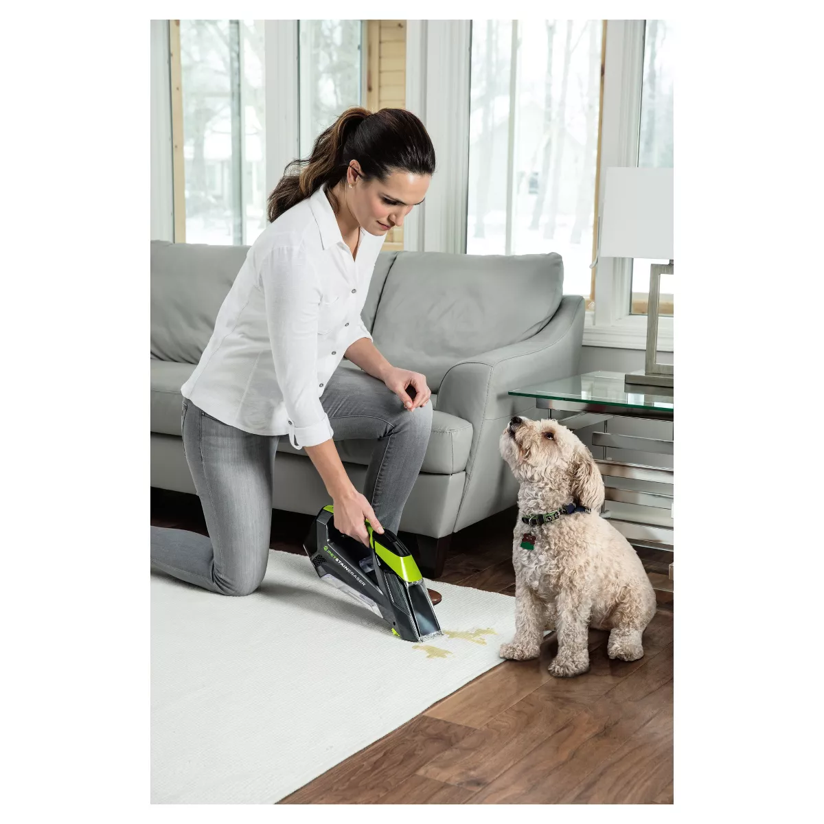 Bissell Pet Stain Eraser Cordless Upholstery & Carpet Cleaner 2003