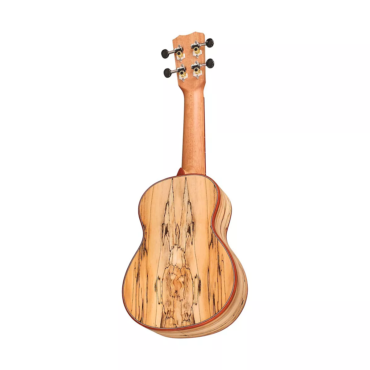 Cordoba 24S Spruce Spalted Maple Soprano Ukulele Natural