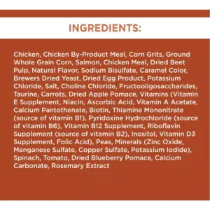 Iams Proactive Health High Protein Chicken & Salmon Recipe Adult Premium Dry Cat Food - 6lbs