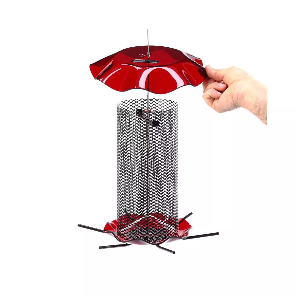 Birds Choice 3qt Safflower Forever Bird Feeder - Red