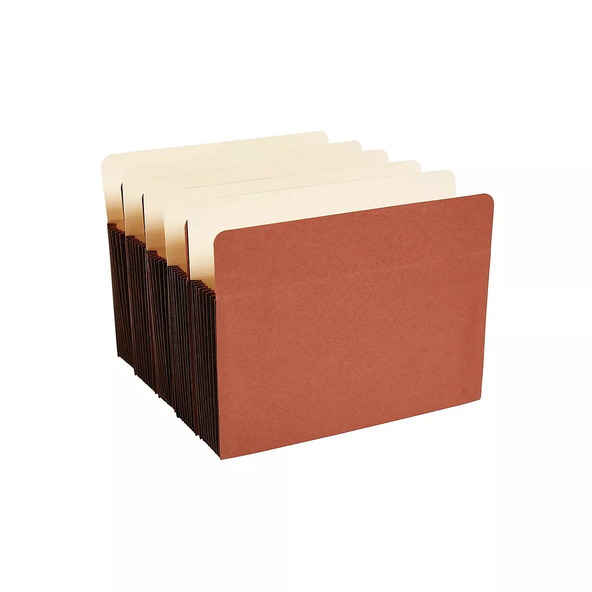 Staples Expand File Pocket w/Tyvek Reinf 7