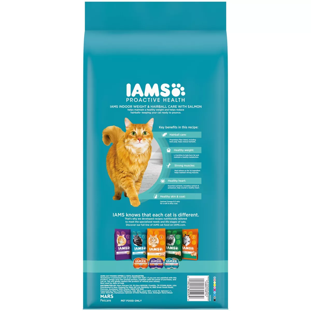 Iams Indoor Salmon Dry Cat Food - 7lbs