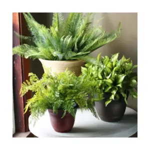 HC Companies SRA10001P02 Sierra 10 Inch Self Watering Round Weather Resistant Plastic Resin Flower Garden Planter Pot Container, Celtic Bronze