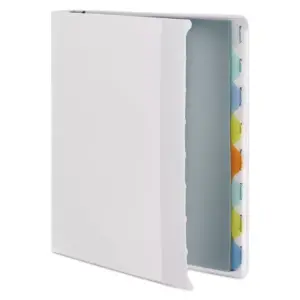 Wilson Jones View-Tab Presentation Round Ring View Binder w/Tabs 1