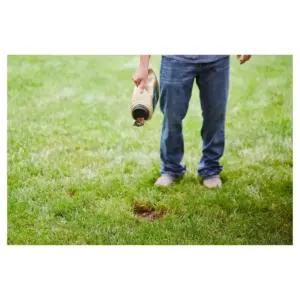 Scotts EZ Seed Tall Fescue 10lb