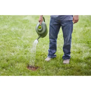 Scotts EZSeed Centipede Grass Seeds - 20lb