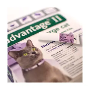 Bayer Advantage II Topical Flea Prevention and Treatment - Large Cats - 4pk