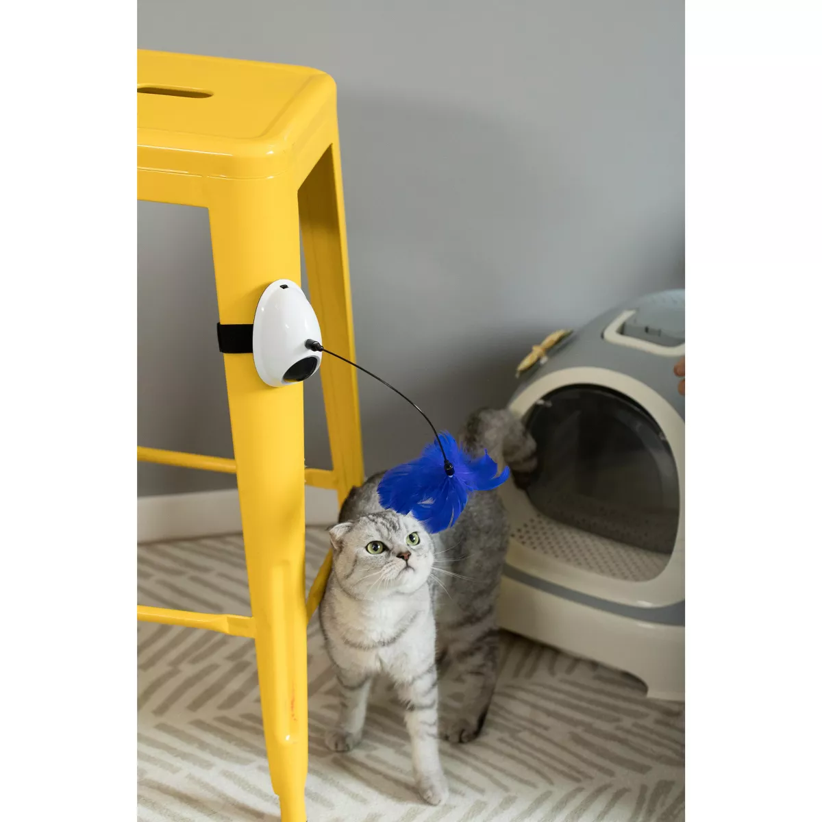 PawsMark Interactive 2-in-1 Spring Feather and Red Light Chaser Cat Toy
