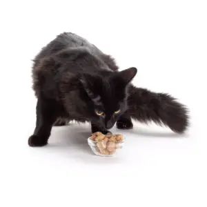 Hauspanther Freeze Dried Chicken Liver Cat Treats - 1.5oz