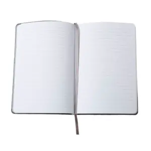 LIned Journal Recycled Water Bottle Gray - Eccolo