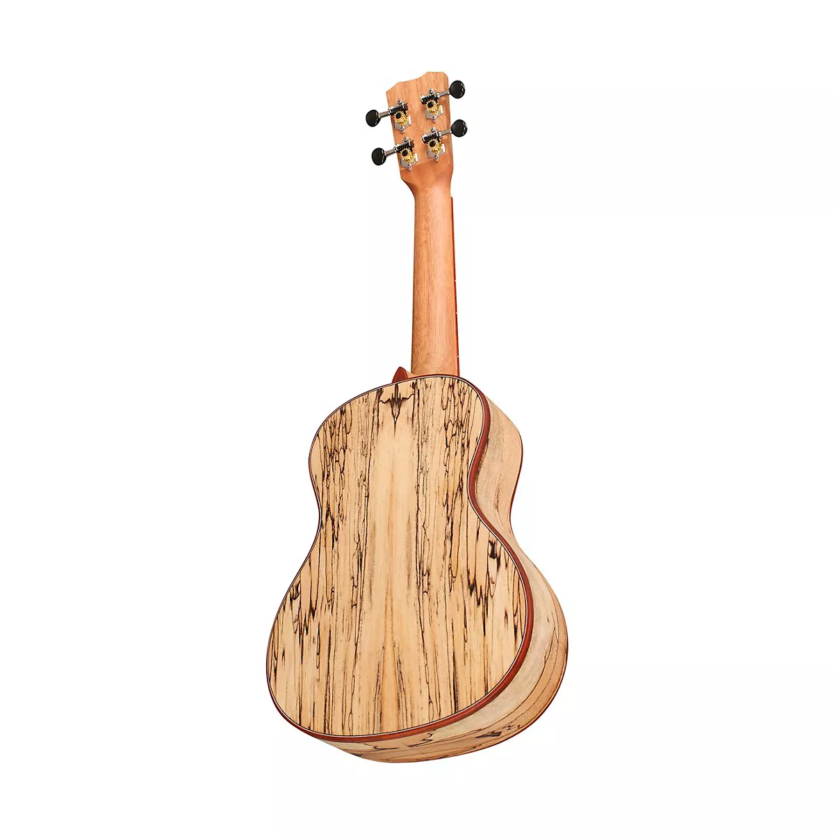 Cordoba 24C Spruce Spalted Maple Concert Ukulele Natural