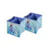 9" Set of 2 Frozen 2 Soft Storage Bins