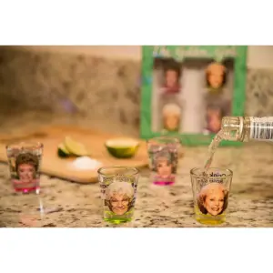 Just Funky The Golden Girls Shot Glasses Set of 4