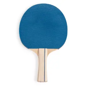 Champion Anywhere Table Tennis Set