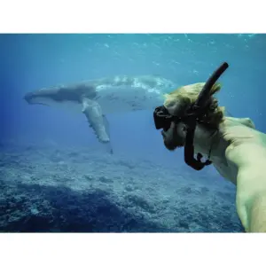 GoPro Blue Water Snorkel Filter (HERO5 - Black (AACDR-001)