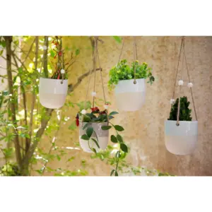 Set of 4 4