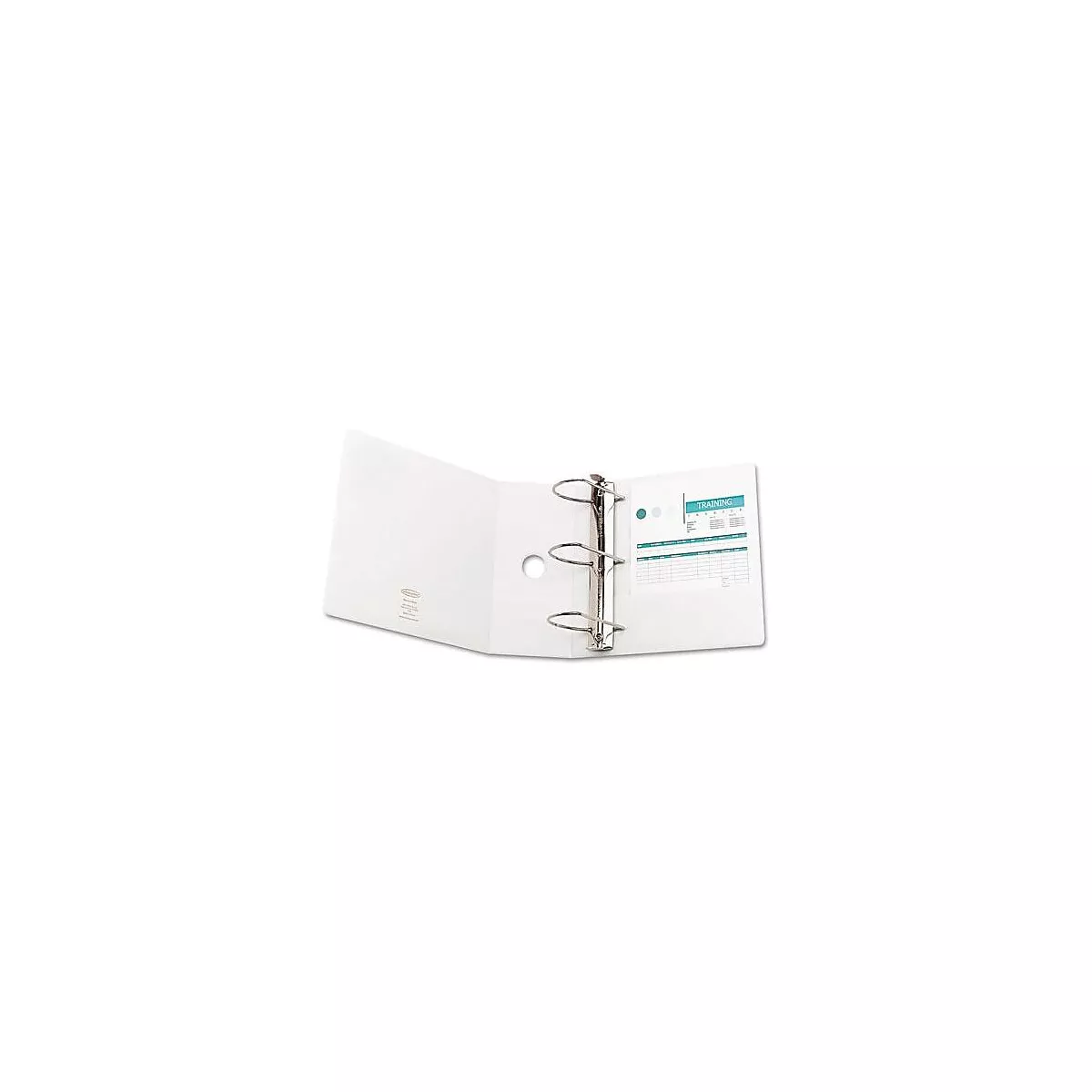 Wilson Jones Heavy-Duty D-Ring View Binder w/Extra-Durable Hinge 5