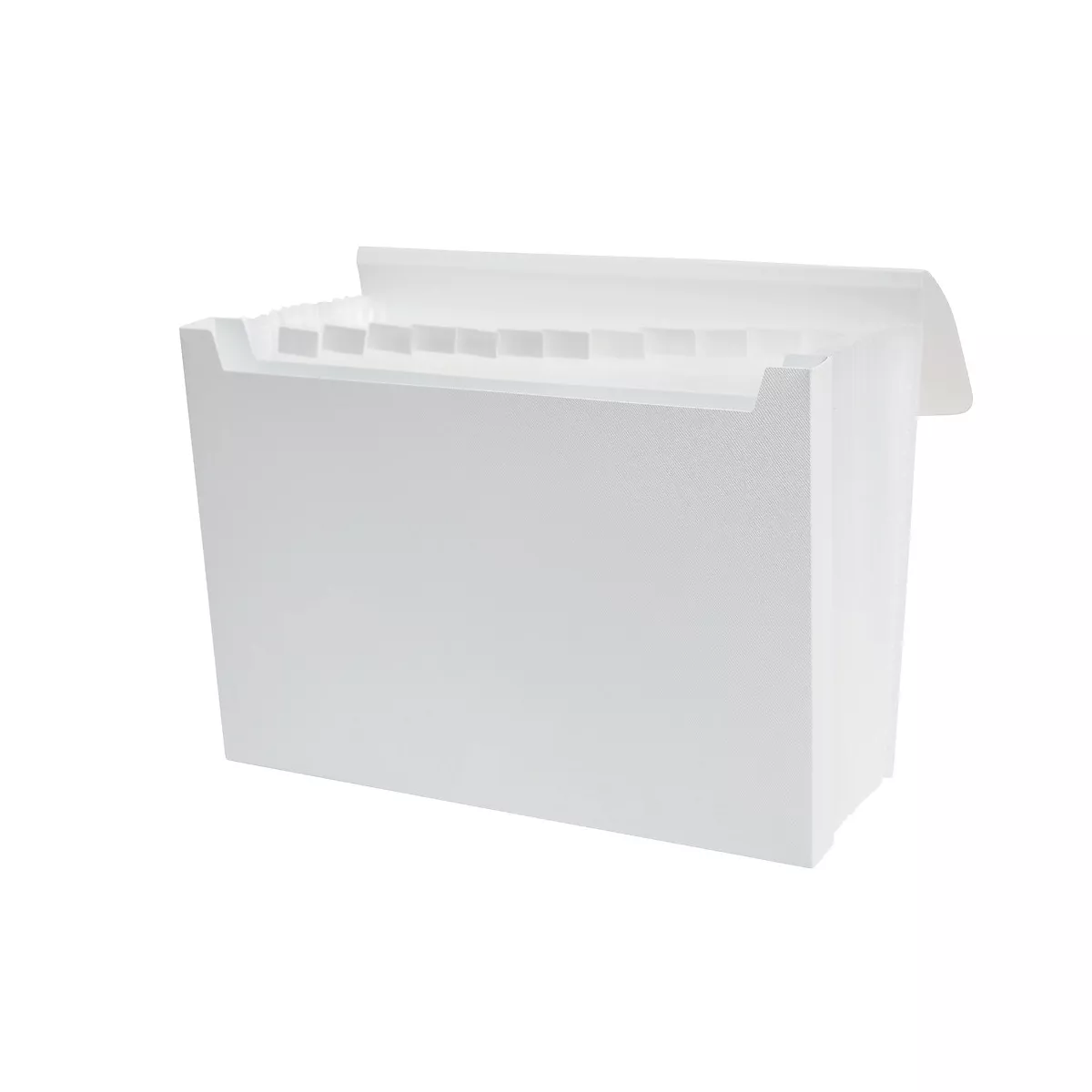 Staples Poly Expanding File w/ Document Case Letter 13-Pocket Assorted Colors TR51805/51805