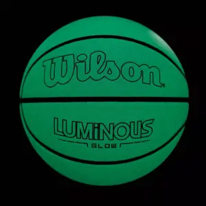 Wilson 29.5