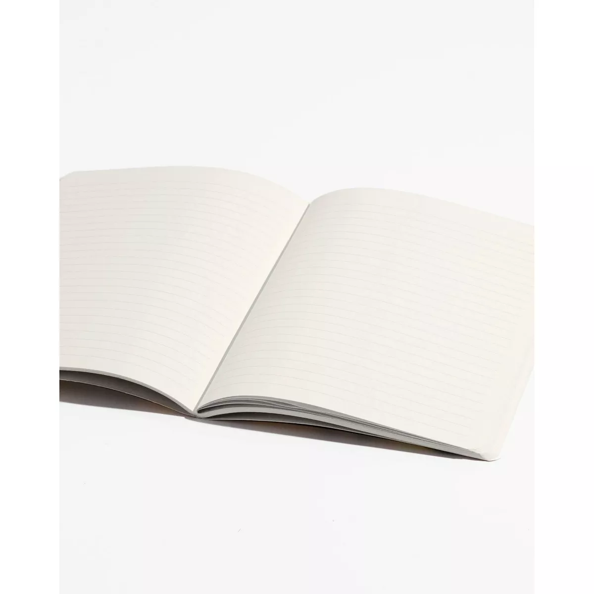 Sonix Notebook Bundle Ruled Your Future is Bright